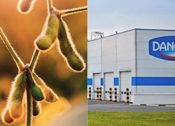 Aprosoja critica boicote da Danone à soja brasileira e aponta discriminação e desconhecimento