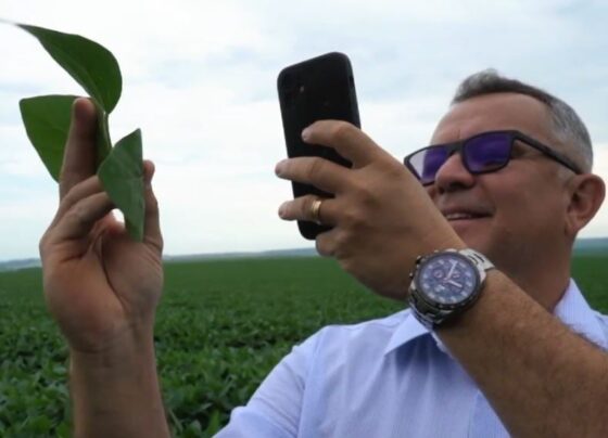 produtor soja Paraná - Personagem Soja Brasil