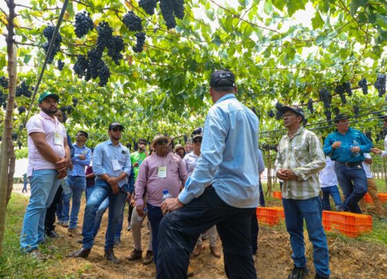 Barra Agro Show 2025 já conta com 60 expositores confirmados para impulsionar fruticultura