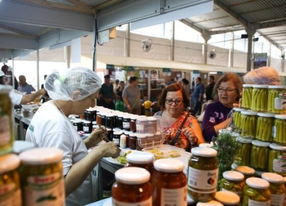produtos da agricultura familiar