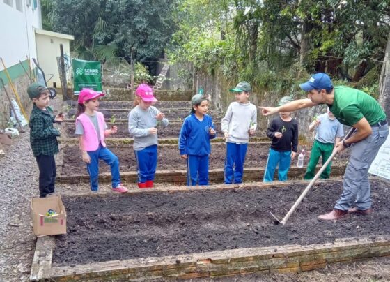 Projeto de horta escolar ensina sustentabilidade e alimentação saudável em SC