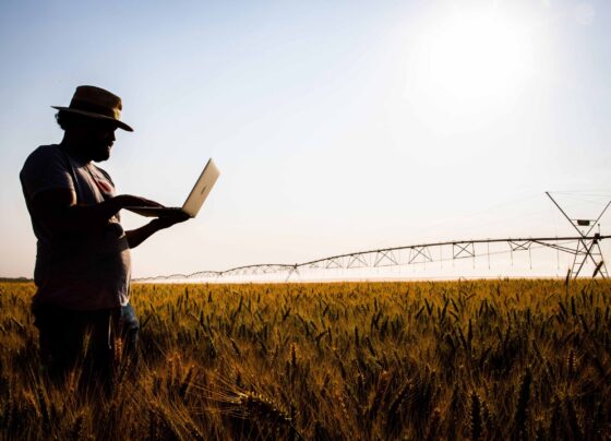 produtor rural curso Senar SC