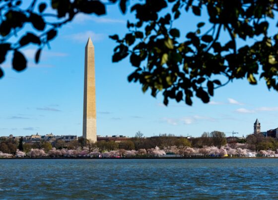Reuniões do FMI e Banco Mundial debatem economia e clima global
