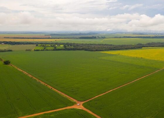 CAR Lavoura com reserva legal em Campo Verde foto Rafael Marques Secom - MT - agropecuária