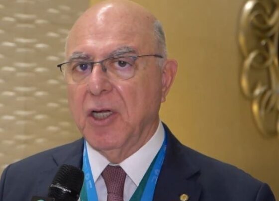 Arnaldo Jardim, COP29, COP30