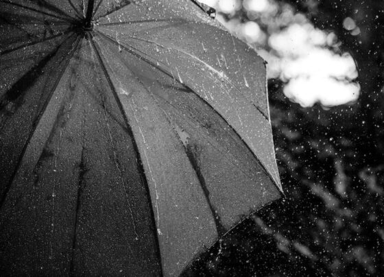 chuvas fortes e temporais - previsão do tempo para hoje - minas gerais - chuvas - tempo fechado