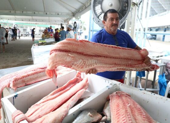 Feirão do Pescado; peixes