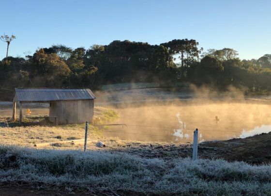 geada em Soledade (RS)