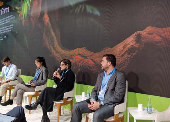 COP29: Fundo JBS pela Amazônia destaca importância do crédito a pequenos produtores para recuperação de pastagens