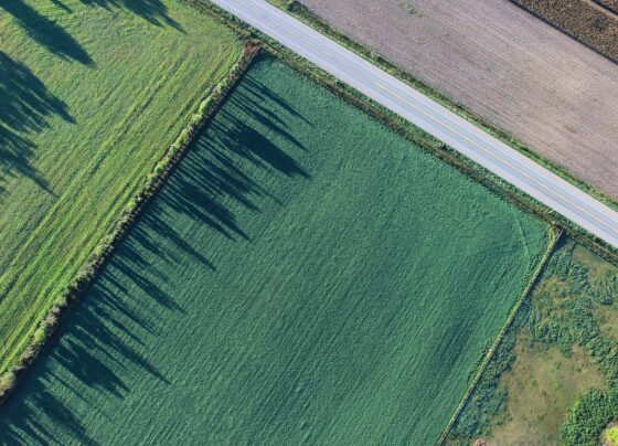 propriedade, fazenda, imóvel rural