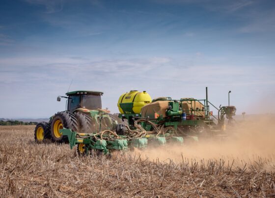 Safra de oportunidades: especialistas debatem sustentabilidade, inovação e diversificação no agro