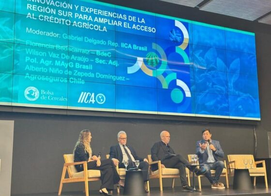 Foto: créditos ao Mapa