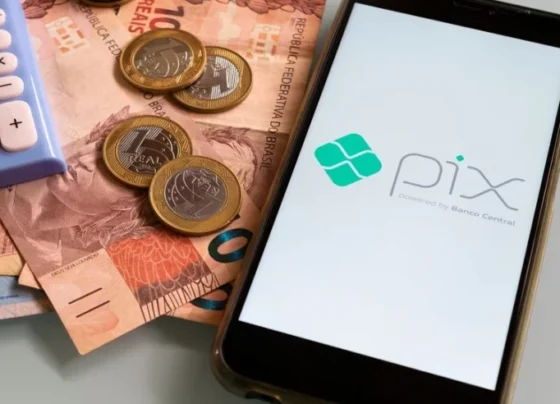 Veja como pequenos negócios do agro podem se beneficiar do pix agendado
