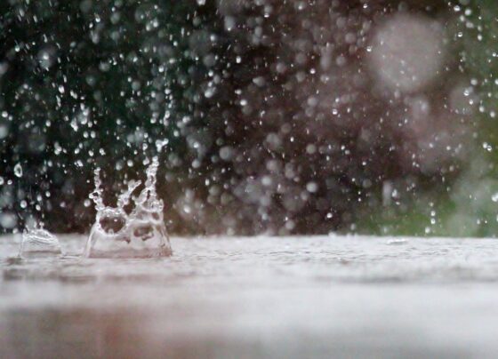 gotas de chuva no chão no feriado