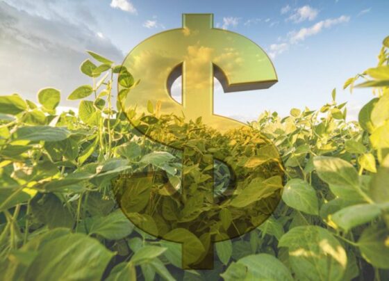 dinheiro, safra, recurso, safra - financiamento agrícola, Funrural, produtor rural