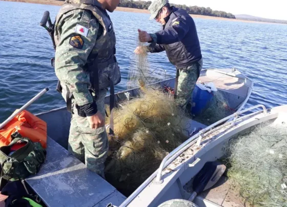 Período da piracema