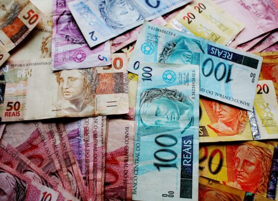 Várias notas de dinheiro