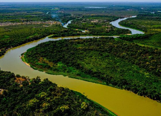 agronegócio, Pantanal, projeto