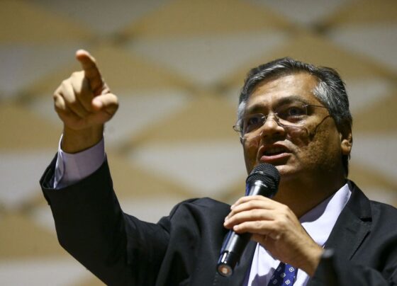 Financiadores, Flávio Dino, Marcelo Camargo