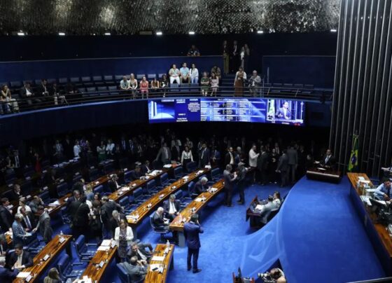 Farinhas, massas e fórmulas especiais terão tributo zero com reforma