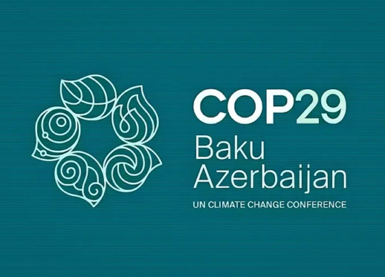 COP29