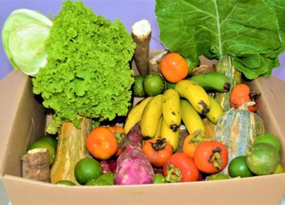 alimentos