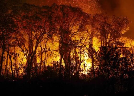 Incêndio MP