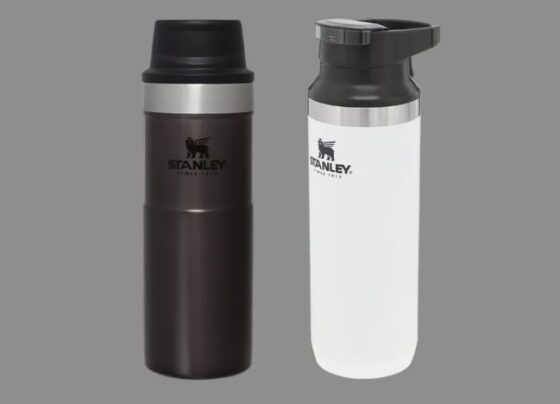 caneca garrafa stanley