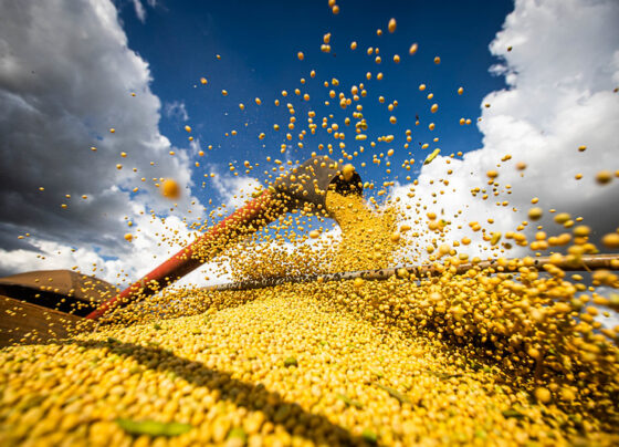 PIB Agrícola, Ipea, crescimento