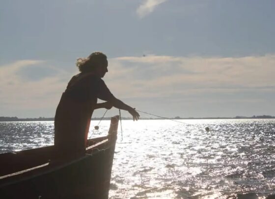 Pesca peixe pescadores