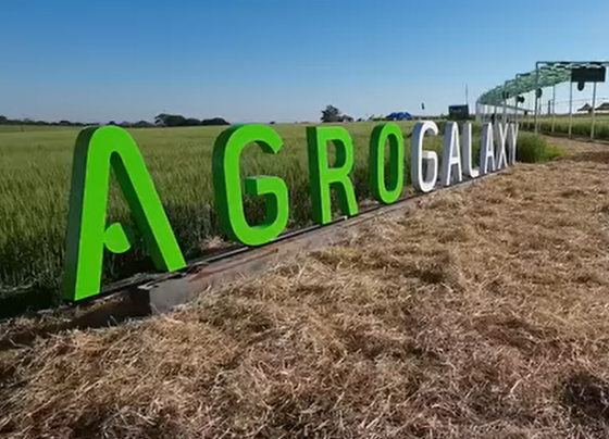 Agrogalaxy