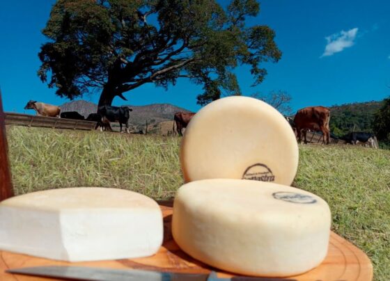 queijo