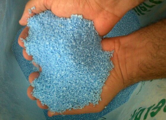 adubos, insumos, fertilizantes
