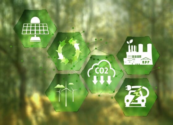 mercado de carbono, energia renovável