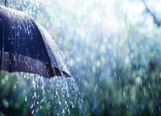 chuva forte e frente fria - guarda-chuva - inmet - chuvas -temporais
