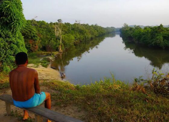 Terras indígenas da Amazônia influenciam chuvas que abastecem o agro