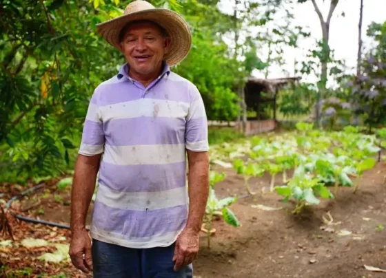 Produtor rural de chapéu em frente à plantação