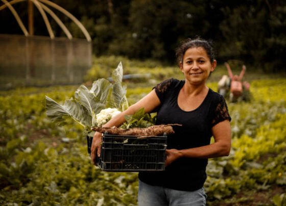 Agricultora com cesta de legumes em horta