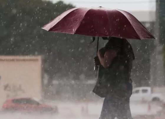 chuvas - pancadas de chuva