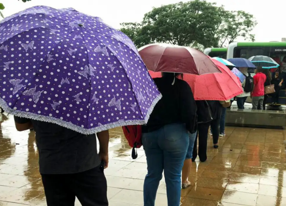 chuva
