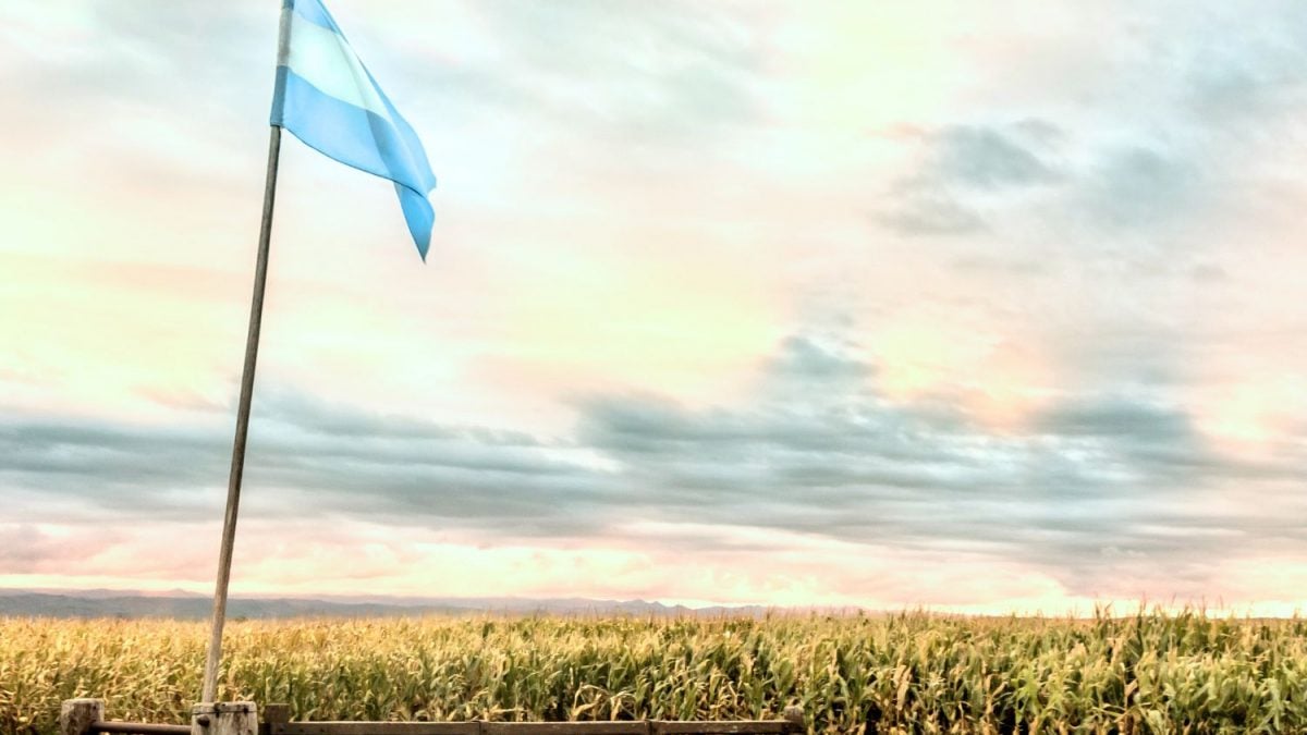 “Cisne Negro” no Agro da Argentina Ameaça se Tornar Uma Mancha Venenosa