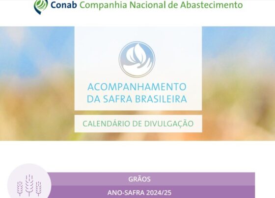 CALENDÁRIO CONAB 2025