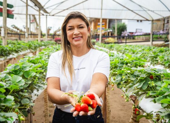 Mulher com morangos nas mãos e a plantação no fundo