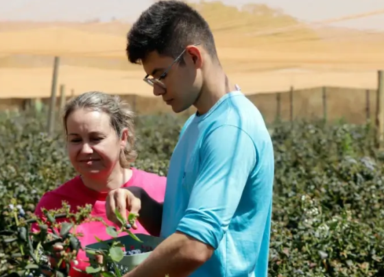Homem e mulher em meio a uma plantação