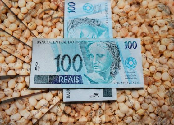 soja custos produção - argentina