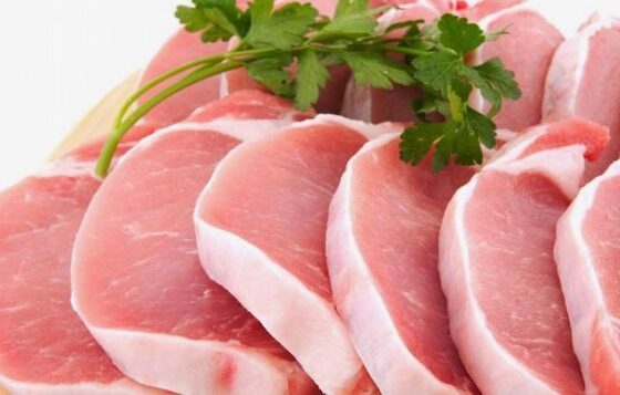 carne suína, suíno, suinocultura - suínos