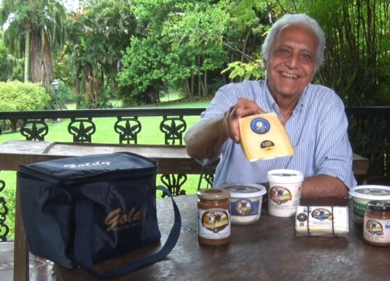 Com o fundo de uma fazenda, homem segura o queijo parmesãol