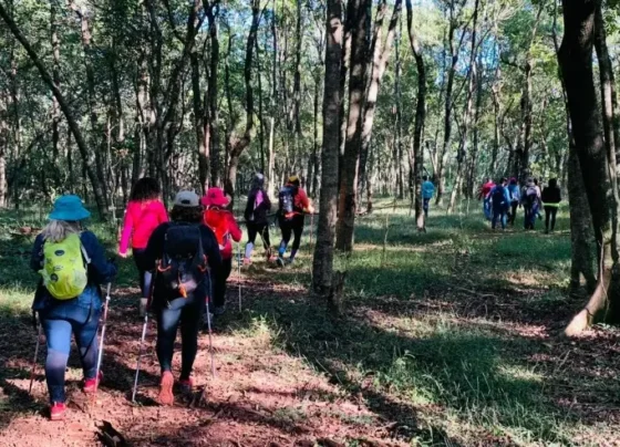 Pessoas caminhando em uma trilha