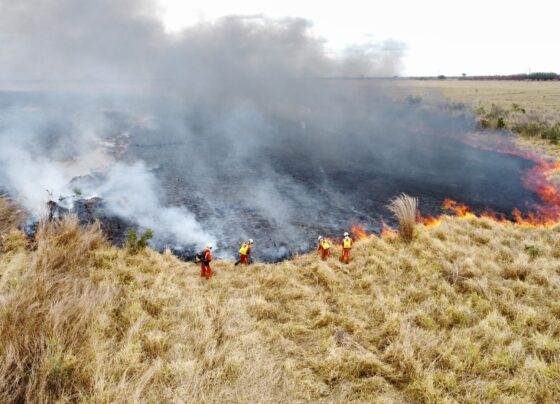 Área equivalente a 15 campos de futebol é atingida por incêndio em Luís Eduardo Magalhães. Bombeiros levaram cerca de 24 horas para finalizar combate