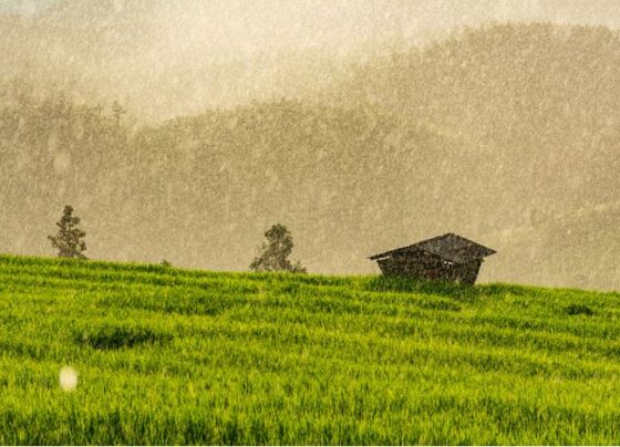 chuva